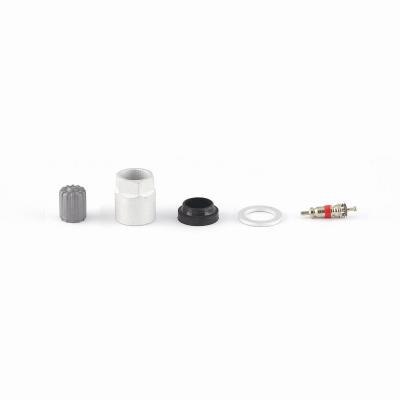 SKA919 TPMS-sats / 10 st (inkl. Pacific-slänt, ti