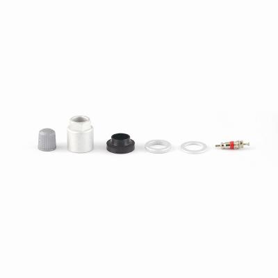SKA958 TPMS-sats / 10 st (inkl. TRW-slang, tät
